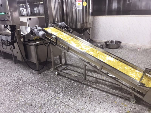 腐竹油炸機(jī)哪家好