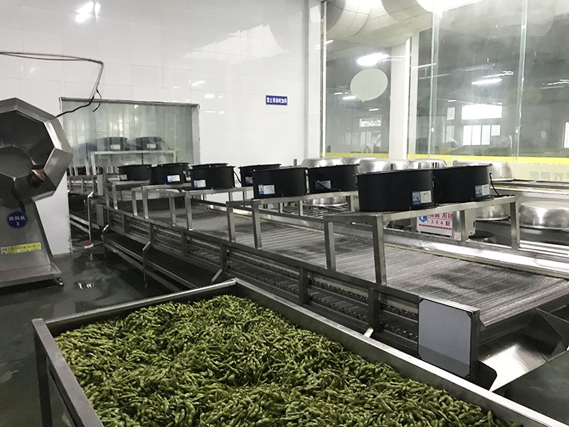 毛豆攤晾線(xiàn)